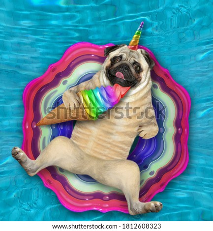 A pug unicorn dog is lying on an inflatable colored ring and eating a ice cream cone in a swimming pool.
