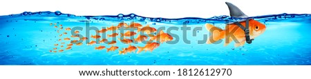 Business - Teamwork And Leadership Concept - Goldfish With Shark Fin And Followers
 Royalty-Free Stock Photo #1812612970