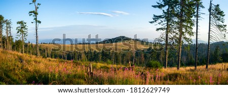 Gorce mountains, The forehead of Turbacz view from Turbacz mount Royalty-Free Stock Photo #1812629749