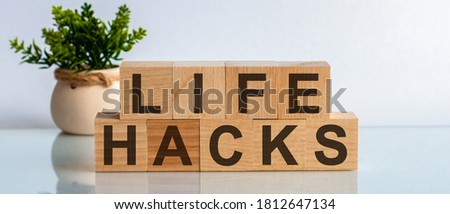 Wooden block with words LIFE HACKS on the white background, concept background. A light brown pot with a green plant is placed behind the wooden blocks