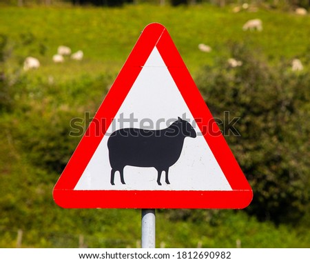 A road sign in Wales, UK, warning drivers of Sheep potentially walking into the road.