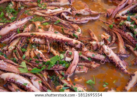 tentacles  calamari octopus in Bistrita,Romania 2020