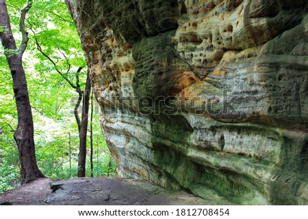 Starved Rock landscape with a rock cliff and trees