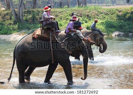 Elephant trekking through jungle in northern Thailand Royalty-Free Stock Photo #181272692