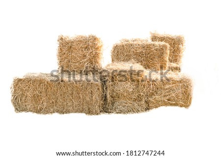 Golden yellow haystack isolated on a white background hay is a tightly joined bale of straw. Royalty-Free Stock Photo #1812747244