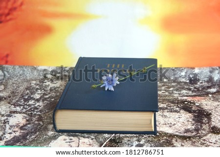                    torah book on stony background with sunrise  and little flower           Royalty-Free Stock Photo #1812786751