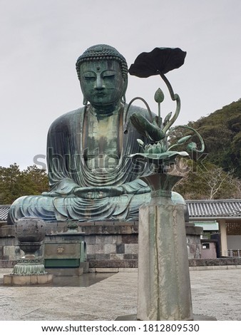 Great Buddha Kamakura Lotus Meditation Japan