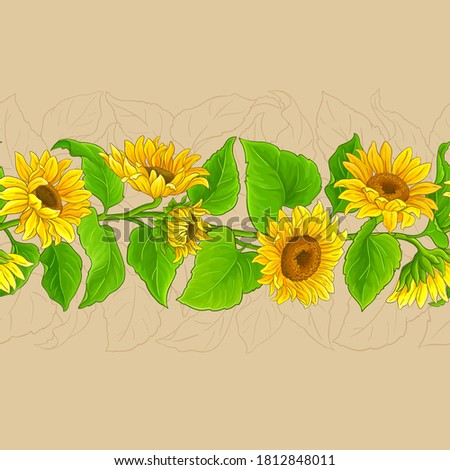 sunflower vector pattern on color background