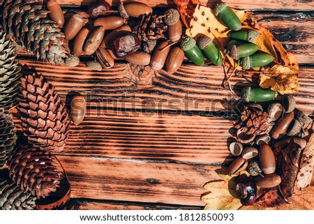A lot of yellow fallen leaves on the wooden table, acorns, chestnuts and pine cones nearby. Autumn textured background with space for text.