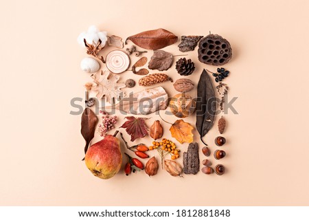 Creative layout made of autumn leaves, fruit and acorn with copy space. Fall nature concept. Flat lay.