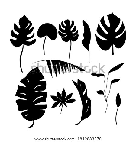 set of black silhouettes of tropical leaves, palms, monstera isolated on white background