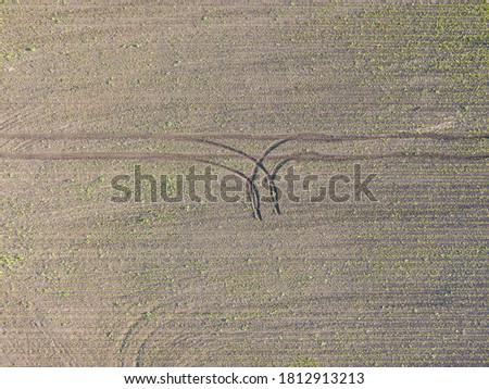 Aerial drone view. Ukrainian agricultural fields.