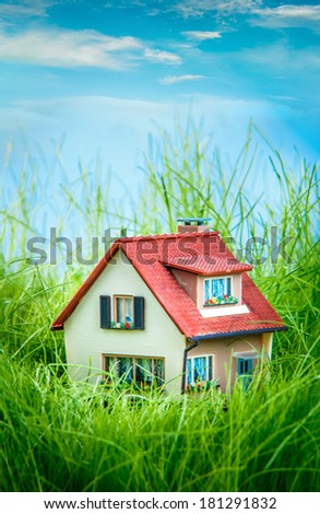 Little House on the green grass