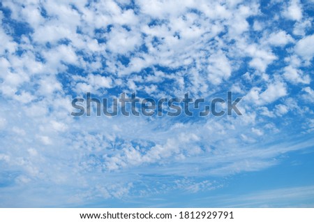 Stratocumulus clouds. Summer sky in clouds during the warm morning period of day