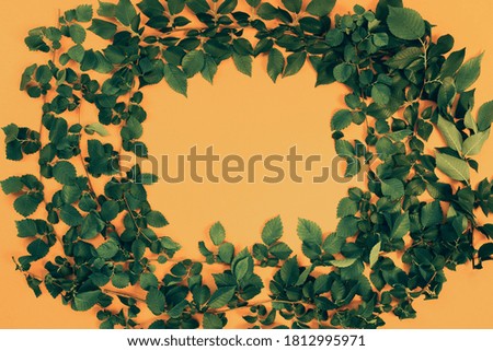 Abstract composition with leaves lying as a  frame. Creative nature layout for seasonal cards, blogs, web design.  Flat lay. Copy space