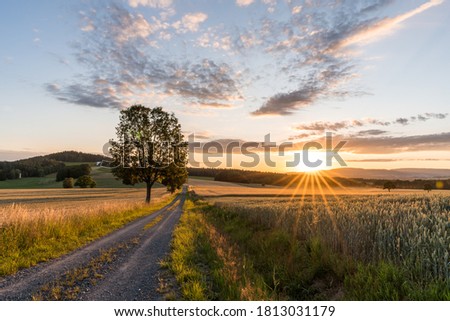 Sunset Country Field Summer Nature