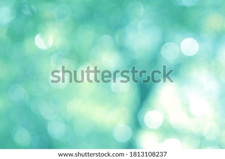 Green Mint background. Leaf blurred. The bokeh circle from the leaves with light shining through Abstract background.