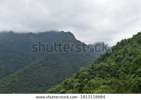 beautiful lanscape view of mountain hill tree forest with blue sky clouds over rainy chill climate