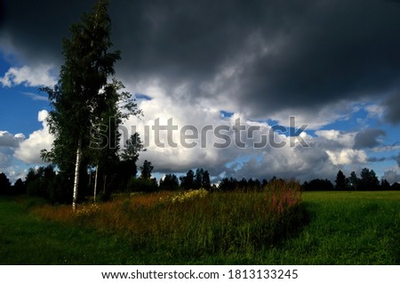 Black storm clouds during summer, Landscape with trees and meadows in the foreground in Latvia. Low clouds
