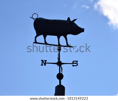 Weathervane in a form of pig shows the wind direction from the south to the north