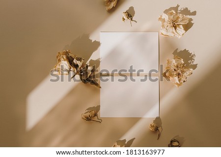 Blank paper sheet cards with empty copy space and flower buds with sunlight shadows on beige background. Flat lay, top view business mock up template.
