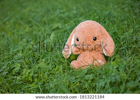 soft toy on the grass in the park, a toy rabbit alone sits on the green grass