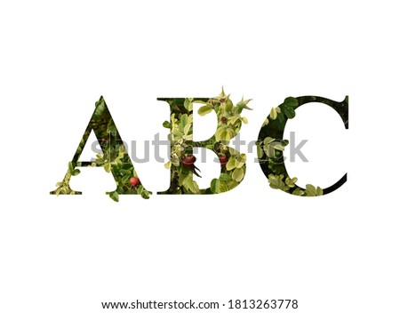 The Flower font of the Alphabet a, b, c, made of real live Rosehip leaves is cut in the shape of a Letter.