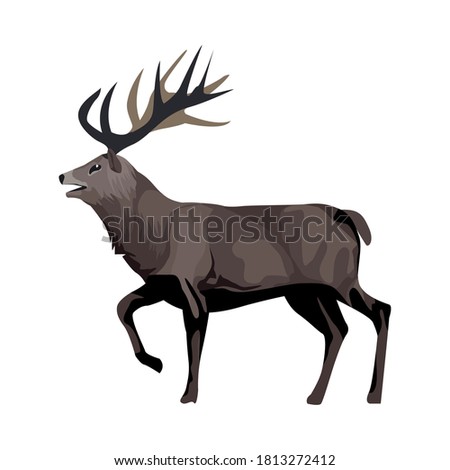 wild reindeer animal nature icon vector illustration design