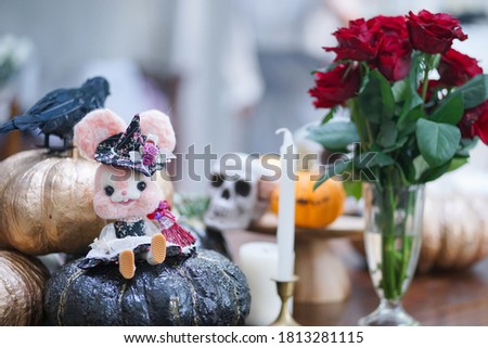 Happy Halloween. A cute bunny felt doll in a wicken witch costume sitting on a black pumpkin. Decoration props for trick or treat candy hunt time for children.