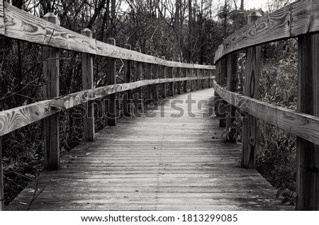 black and white wooden walkway