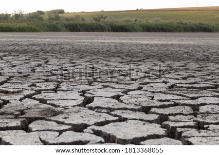 Wide cracks in dry soil with green coast in background, dry lake with deep cracks, selective focus. Effects of heat and drought. Concept of global warming, greenhouse effect. Earth climate change