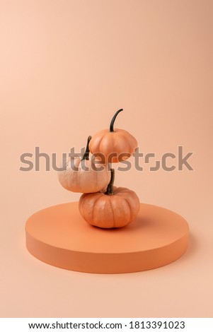 Creative Fall layout made of pumpkins. Concept scene stage showcase, for product, promotion, sale, banner, presentation, cosmetic. Flat lay. Autumn or Thanksgiving season concept.