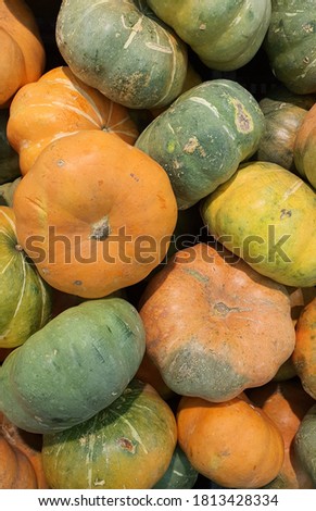 A close up picture of pumpkin 
