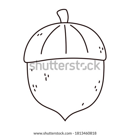 autumnal acorn nut nature food isolated icon line style vector illustration