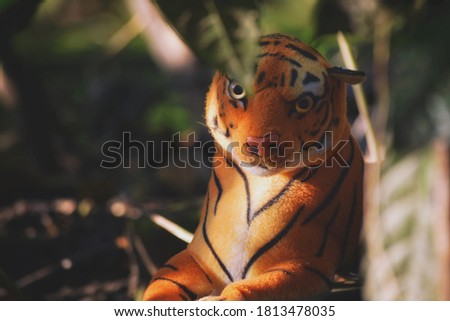 The Bengal Tiger is recognised as the national animal of Bangladesh and is renowned as the Royal Bengal Tiger