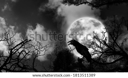 Creepy black crow croaking in scary dark forest on full moon night