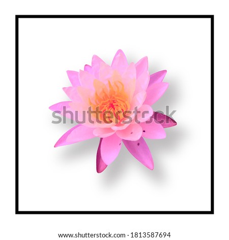 Paint water color purple lotus flower in white background and frame picture for gallery