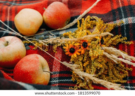 autumn still life. apples and a bouquet of wheat and daisies on a red blanket