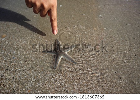 Starfish, you have to go on, I help you to the sea.