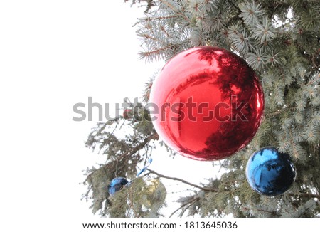 Blue and red Christmas balls on a pine branch. Sunny weather. Christmas card. Copy Space for text.