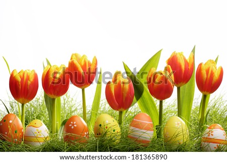 Easter eggs and tulips flower on meadow