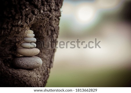 simple stack of pebbles balancing on a tree