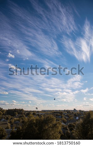 Beautiful clouds with birds(Ukraine Sumy)