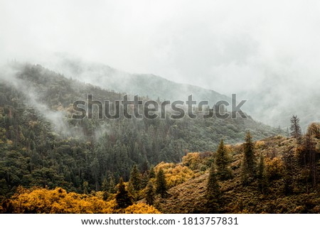 Overcast fall day in California mountains