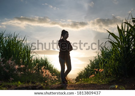 Farmer woman silhouette standing in the sugar cane plantation in the background sunset evening
