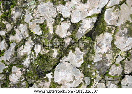 Textures of rough stone, rock with cracks and green moss