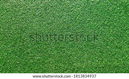 Top view of beautiful green grass texture