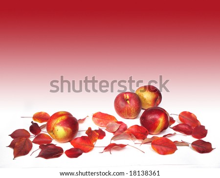 Fruits and red autumn leaves