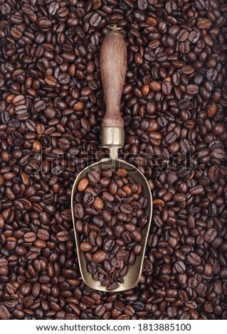 Fresh roasted coffee beans in vintage steel scoop flat inside of beans background. Macro