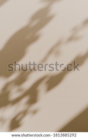 Flower shadows in sunlight. Floral silhouette on neutral beige background. Minimal natural composition